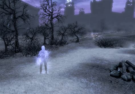 Sorina can be found south of Dragon Bridge, a village nearby Solitude. . Skyrim impatience of a saint